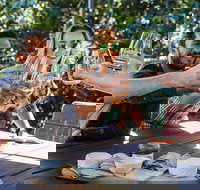 Full-day Wine-Tasting and Tamborine Mountain Tour with Lunch - Gold Coast Attractions