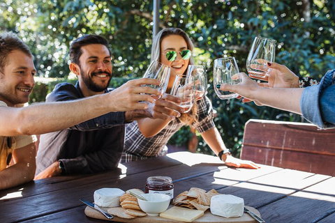 Full-day Wine-Tasting And Tamborine Mountain Tour With Lunch - Gold Coast Attractions 0