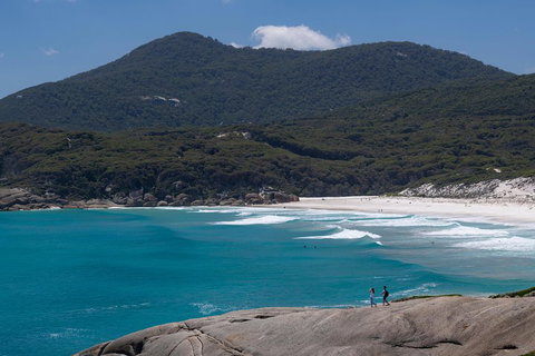 Wilson's Promontory Small Group Eco Tour From Melbourne - Gold Coast Attractions 0