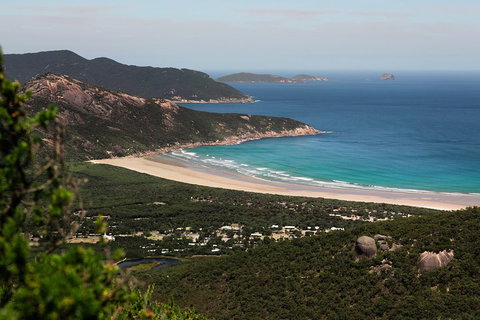 Wilson's Promontory Small Group Eco Tour From Melbourne - Gold Coast Attractions 4