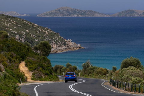Wilson's Promontory Small Group Eco Tour From Melbourne - Gold Coast Attractions 5