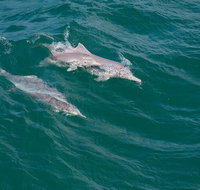 North Stradbroke Island Private Tour with Pickup - Gold Coast Attractions