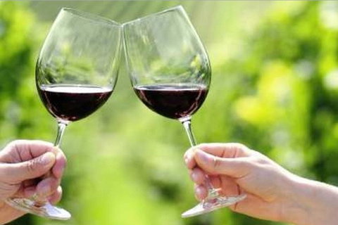 Yarra Valley Premium Tour Inc Lunch And Cheese And Wine Pairing At De Bortoli - Gold Coast Attractions 5