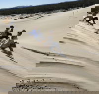 Port Stephens Bush Beach and Sand Dune 4WD Tag-Along Tour - Gold Coast Attractions