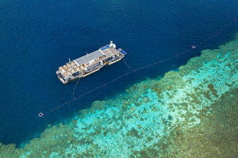 Great Barrier Reef Day Cruise To Reefworld - Gold Coast Attractions 2