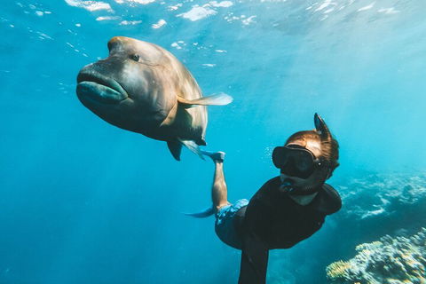 Great Barrier Reef Day Cruise To Reefworld - Gold Coast Attractions 3