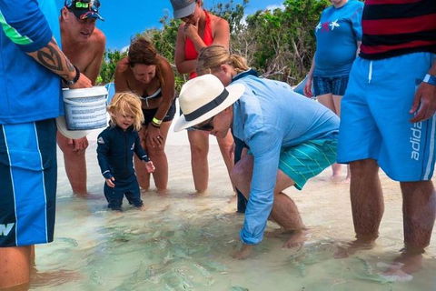 Whitehaven Beach And Hamilton Island Cruise - Gold Coast Attractions 1