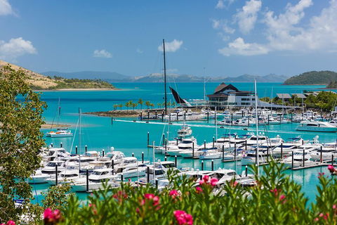Whitehaven Beach And Hamilton Island Cruise - Gold Coast Attractions 3
