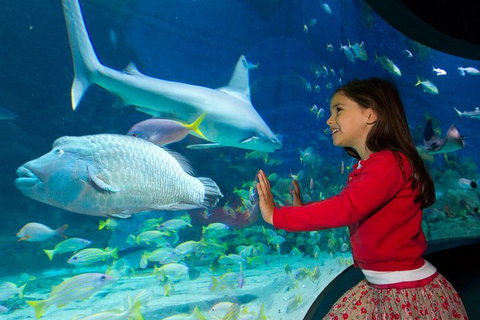 SEA LIFE Melbourne Aquarium Admission Ticket - Gold Coast Attractions 1