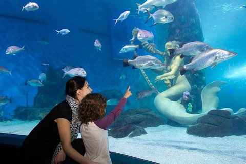 SEA LIFE Melbourne Aquarium Admission Ticket - Gold Coast Attractions 4