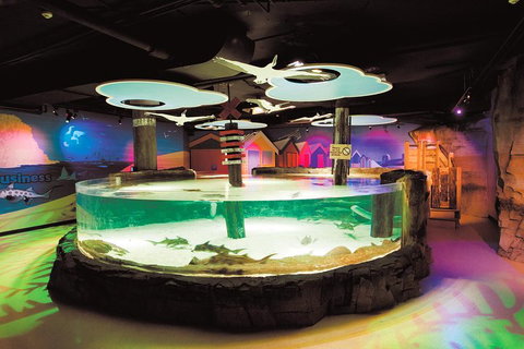 SEA LIFE Melbourne Aquarium Admission Ticket - Gold Coast Attractions 5
