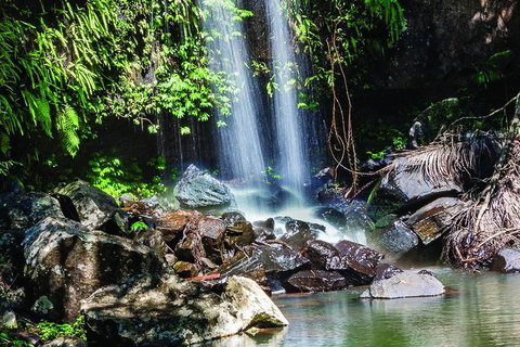 Full Day Small Group Luxury Tour To Tamborine Mountain - Gold Coast Attractions 0