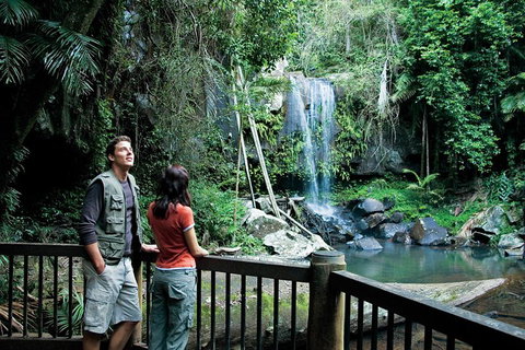 Full Day Small Group Luxury Tour To Tamborine Mountain - Gold Coast Attractions 4
