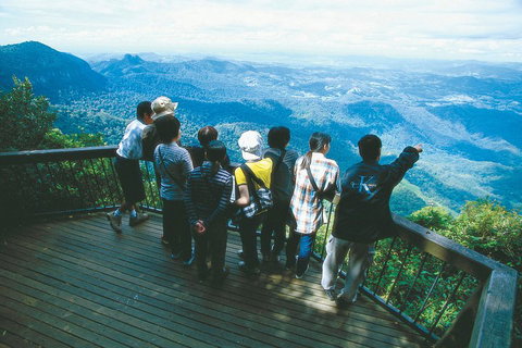 Springbrook National Park & Gold Coast Full Day Luxury Tour From Brisbane - Gold Coast Attractions 0