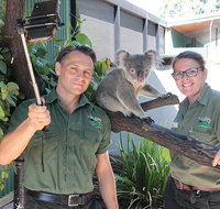 Virtual Interactive Australian Wildlife Tour With Private Guide-Wildlife Habitat - Gold Coast Attractions