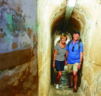 Rottnest Island Historical Train and Tunnel Tour from Hillarys Boat Harbour - Gold Coast Attractions