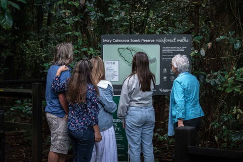 Sunshine Coast Hinterland And Noosa Day Trip From Brisbane Including Eumundi Markets And Ginger Factory - Gold Coast Attractions 0