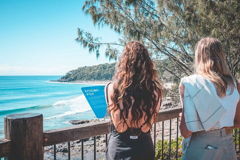 Sunshine Coast Hinterland And Noosa Day Trip From Brisbane Including Eumundi Markets And Ginger Factory - Gold Coast Attractions 2