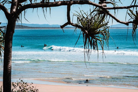 Sunshine Coast Hinterland And Noosa Day Trip From Brisbane Including Eumundi Markets And Ginger Factory - Gold Coast Attractions 5