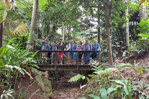 Cairns Shore Excursion: Cairns City Sights & Surrounds Tour - Gold Coast Attractions 1