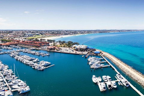Glass Bottom Boat & Entry At AQWA - Gold Coast Attractions 2