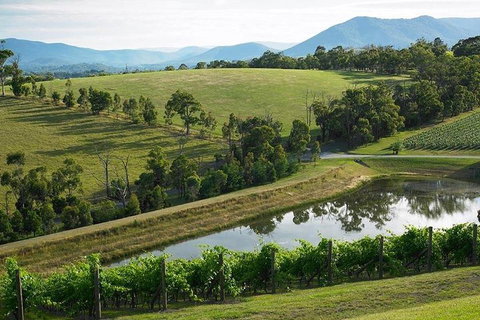 Yarra Valley Wine And Cider Tours By Classic Convertibles From Melbourne - Gold Coast Attractions 1