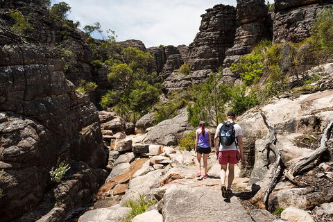 Grampians National Park With Kangaroos And MacKenzie Falls From Melbourne - Gold Coast Attractions 3