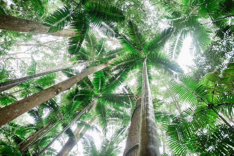 Fraser Explorer K'gari 2-Day Tour - Gold Coast Attractions 2