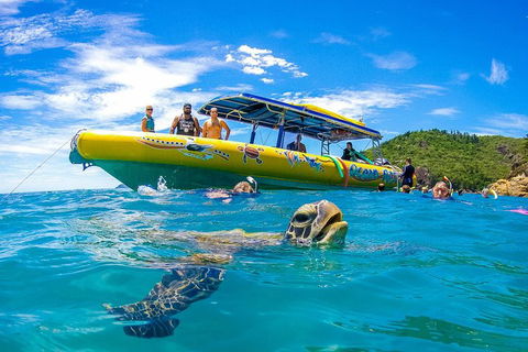 Great Barrier Reef Scenic Flight And Ocean Rafting Whitehaven Beach Day Trip - Gold Coast Attractions 1