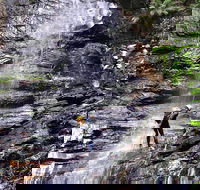 Full-Day Canyoning Experience at Stunning Empress Canyon - Gold Coast Attractions