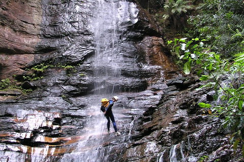 Full-Day Canyoning Experience At Stunning Empress Canyon - Gold Coast Attractions 0