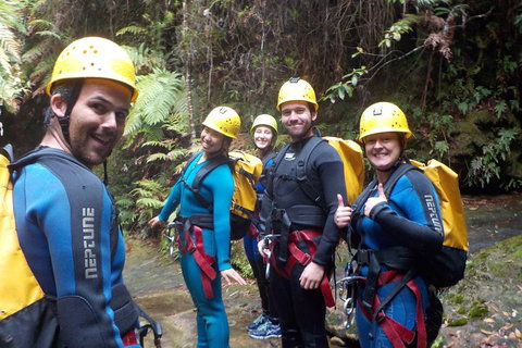 Full-Day Canyoning Experience At Stunning Empress Canyon - Gold Coast Attractions 1