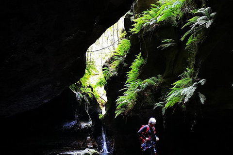Full-Day Canyoning Experience At Stunning Empress Canyon - Gold Coast Attractions 2