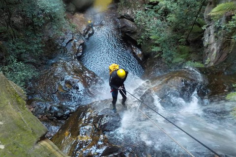 Full-Day Canyoning Experience At Stunning Empress Canyon - Gold Coast Attractions 4