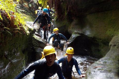 Full-Day Canyoning Experience At Stunning Empress Canyon - Gold Coast Attractions 5