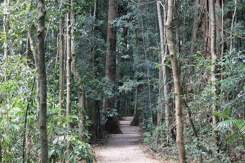 Eumundi Markets And Sunshine Coast Day Trip From Brisbane - Gold Coast Attractions 4