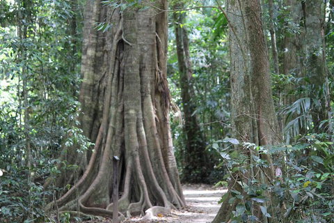 Noosa And Sunshine Coast Hinterland Day Trip From Brisbane - Gold Coast Attractions 3