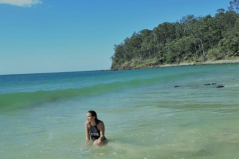 Noosa And Sunshine Coast Hinterland Day Trip From Brisbane - Gold Coast Attractions 4