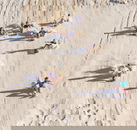 Unlimited Sandboarding - Gold Coast Attractions