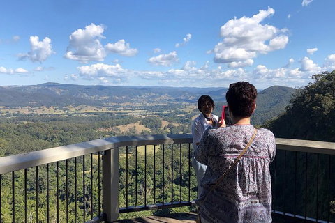 Sunshine Coast Private Scenic Guided Tour Inc. 2-Course Gourmet Lunch - Gold Coast Attractions 4