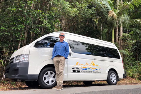 Sunshine Coast Hinterland Rainforest, Views And Montville Day Tour Inc. Lunch - Gold Coast Attractions 1