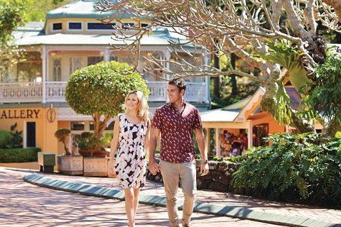 Sunshine Coast Hinterland Rainforest, Views And Montville Day Tour Inc. Lunch - Gold Coast Attractions 4