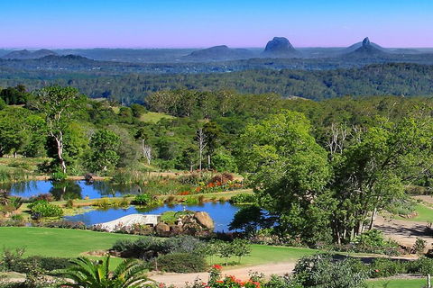 Sunshine Coast Hinterland Rainforest, Views And Montville Day Tour Inc. Lunch - Gold Coast Attractions 5
