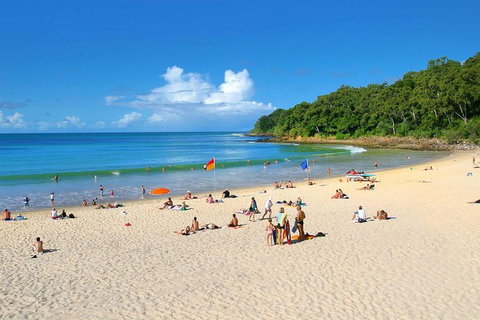 Noosa Everglades Serenity Cruise & Highlights Tour Inc. Lunch & Cruise - Gold Coast Attractions 4
