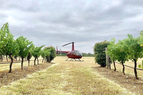 Private Helicopter Flight To Hunter Valley With A La Carte Lunch - For 2 - Gold Coast Attractions 4