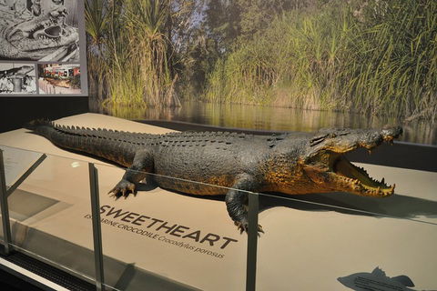 Explore Darwin City Sights Including Key Attractions - Gold Coast Attractions 2