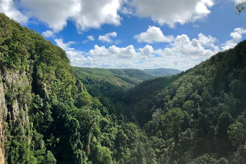Springbrook Full Day Tour - Gold Coast Attractions 1