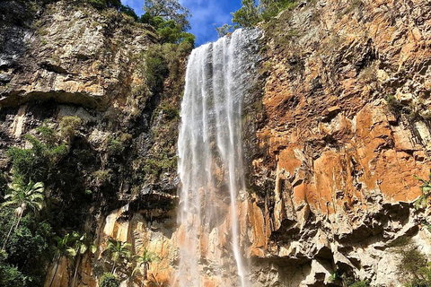 Springbrook Full Day Tour - Gold Coast Attractions 2