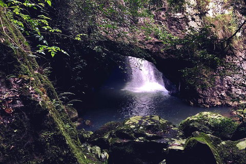 Springbrook Full Day Tour - Gold Coast Attractions 3