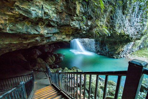 Springbrook Full Day Tour - Gold Coast Attractions 4